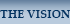 vision